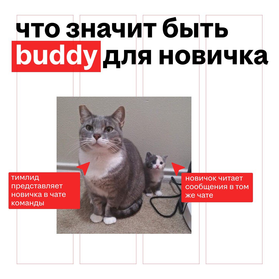 какой он, идеальный дизайн-buddy для новичка?
мало привлечь хорошего спеца в команду, важно ещё
и адаптировать его к работе, помочь влиться, чтобы потенциал раскрылся, а человек мог с комфортом работа... | Сетка — социальная сеть от hh.ru