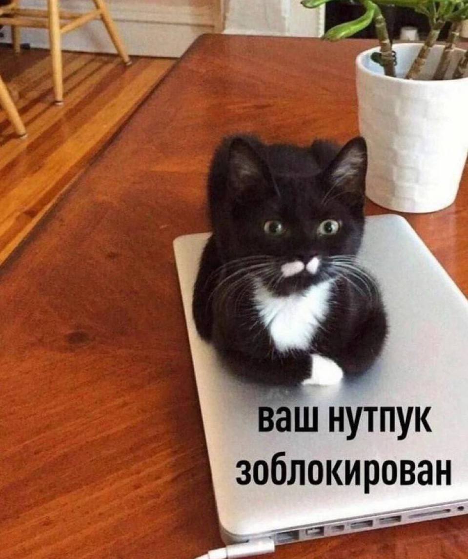 Первый раз за неделю вышла с работы, когда светло 😅 А на улице апокалипсис #мемчики | Сетка — социальная сеть от hh.ru