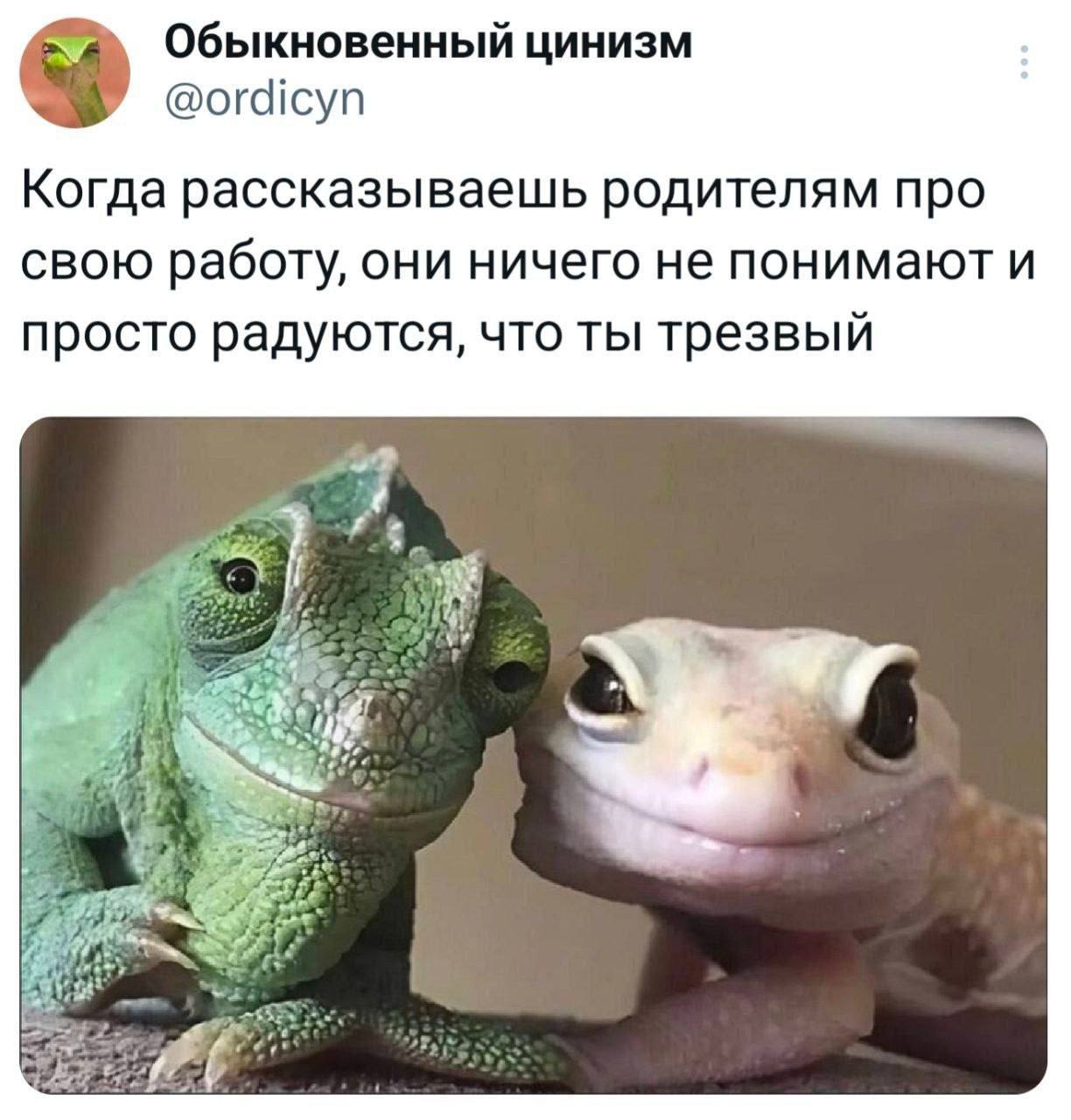 #IT
😂 Твой Пакет Мемов
🛍 Другие каналы
В этом посте были ссылки, но мы их удалили по правилам Сетки | Сетка — социальная сеть от hh.ru