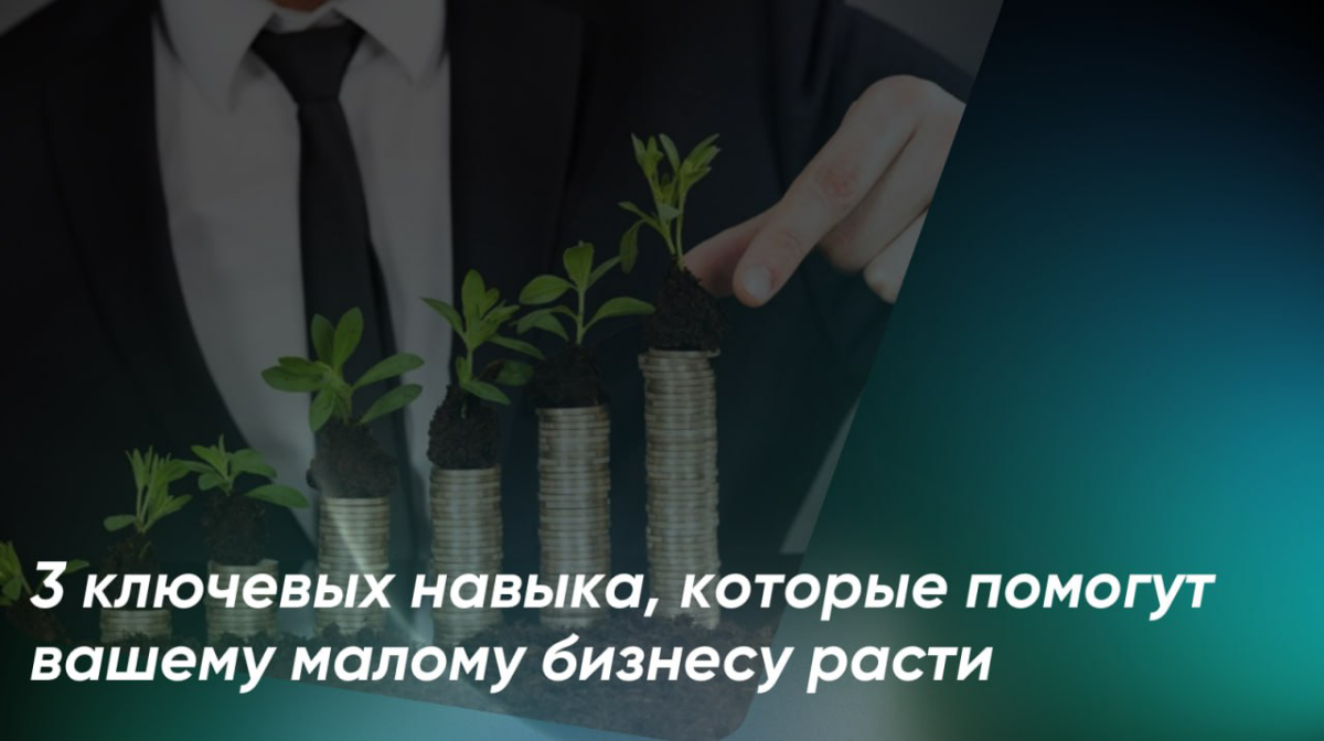 Как малому бизнесу оторваться от земли и начать расти? | Сетка — социальная сеть от hh.ru