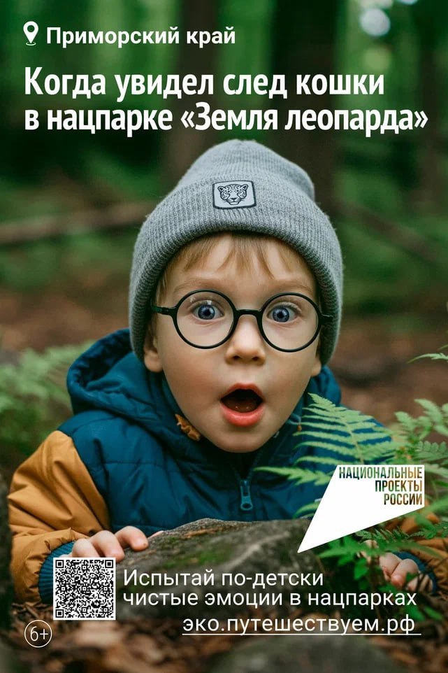 «Национальные приоритеты» совместно с Минприроды России запустили рекламную кампанию, посвященную экотуризму на заповедных территориях страны | Сетка — социальная сеть от hh.ru