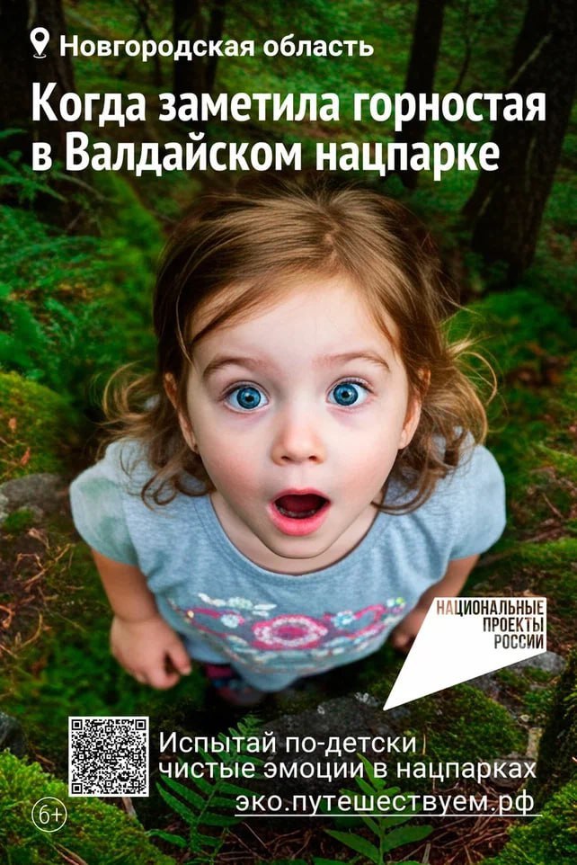 «Национальные приоритеты» совместно с Минприроды России запустили рекламную кампанию, посвященную экотуризму на заповедных территориях страны | Сетка — социальная сеть от hh.ru