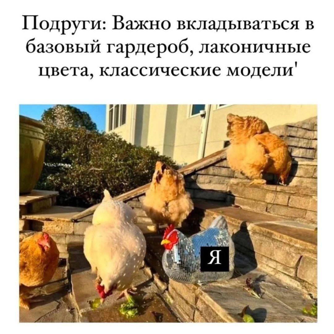 Делись в комментариях мемом сегодняшнего дня.
#понирупор #мемврупор | Сетка — социальная сеть от hh.ru