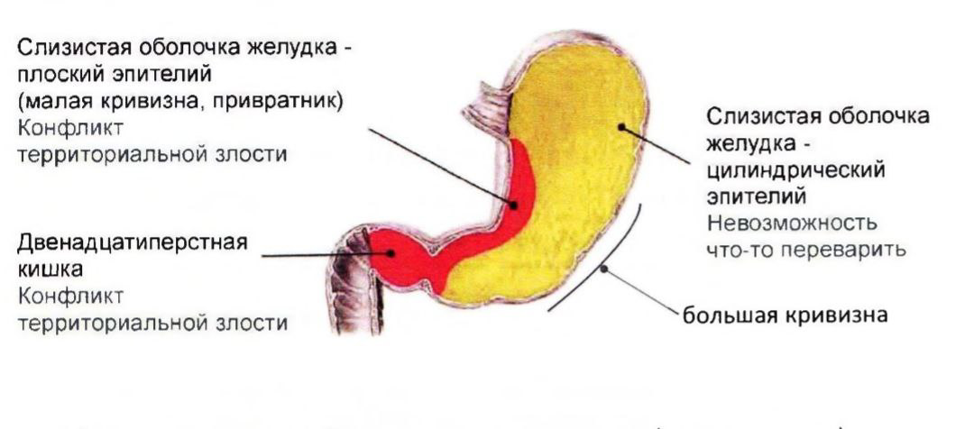 ЖКТ и Психосоматика. | Сетка — социальная сеть от hh.ru