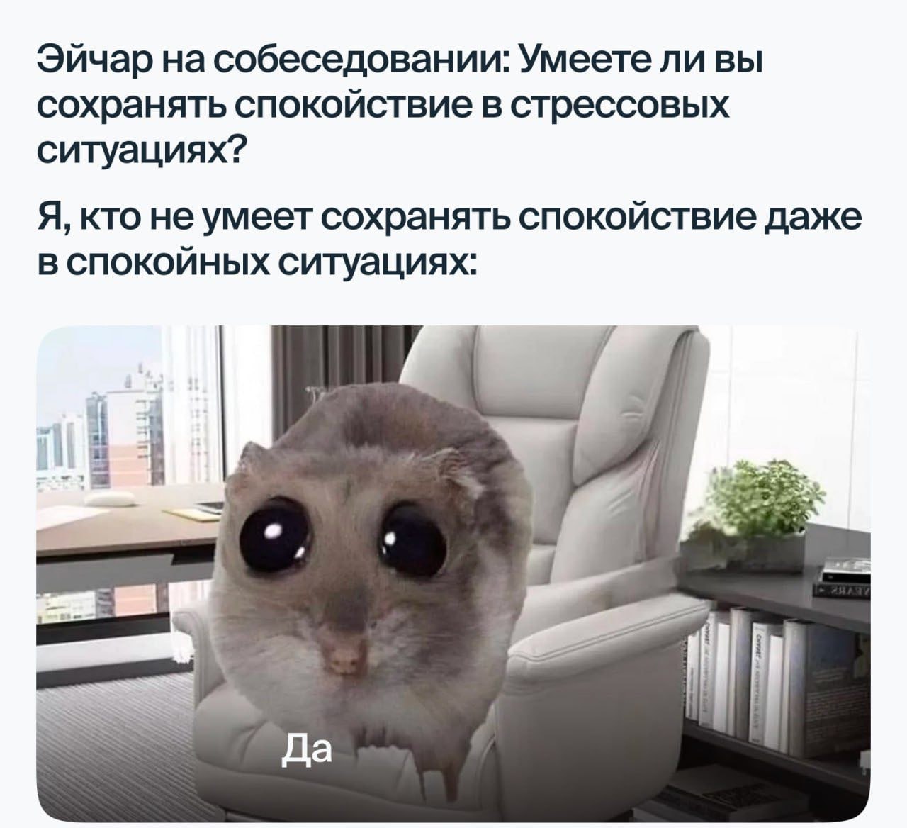 Что делать кандидату после отказа работодателя?
📌 Недавно мы делились, как обратная связь повышает производительность и спасает браки — советуем почитать!
Так что же делать при отказе? Запросить обрат... | Сетка — социальная сеть от hh.ru