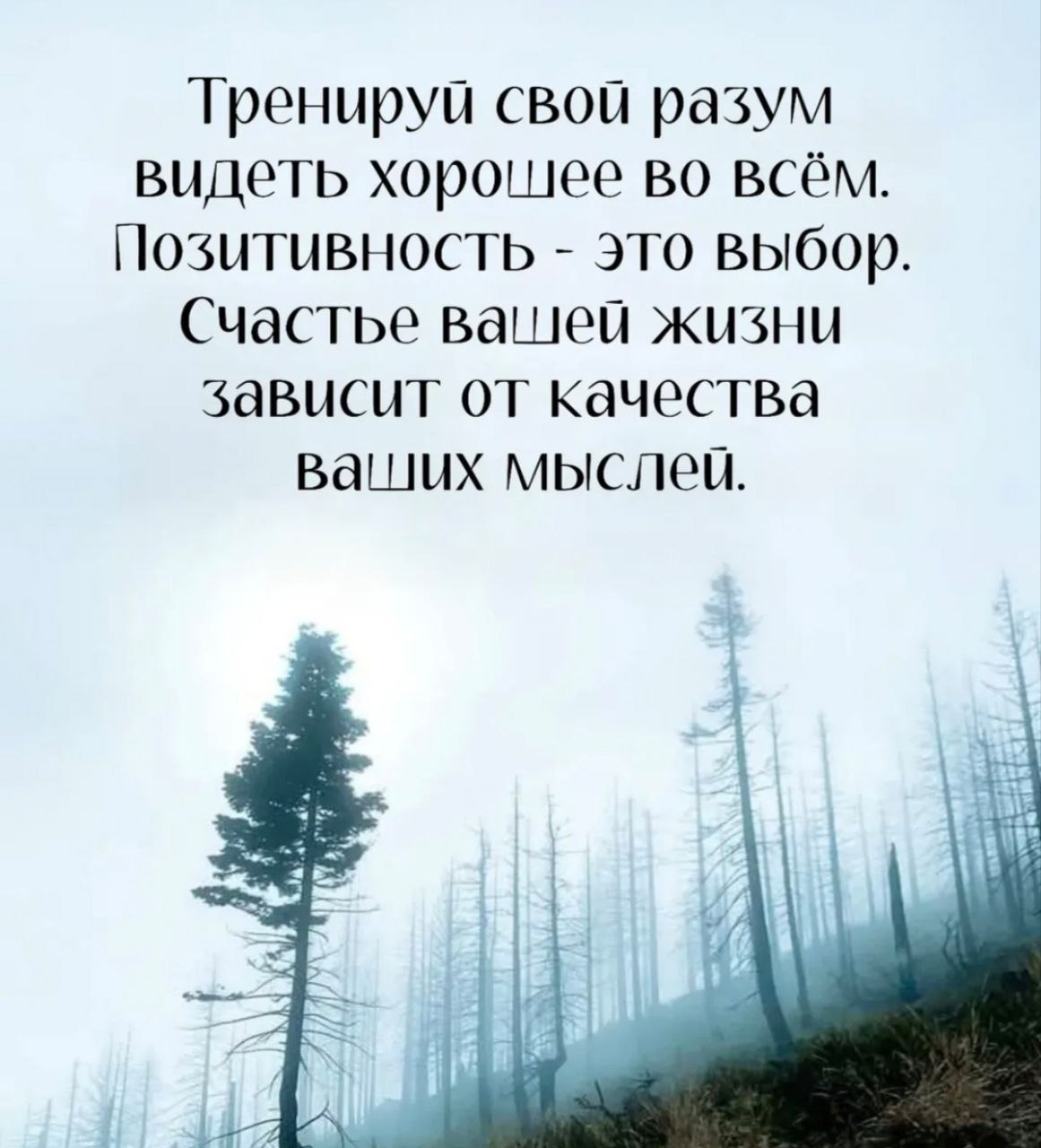 Четверг перед Новолунием: время обновления и денежной энергии
Сегодня четверг, и это не просто день недели | Сетка — социальная сеть от hh.ru