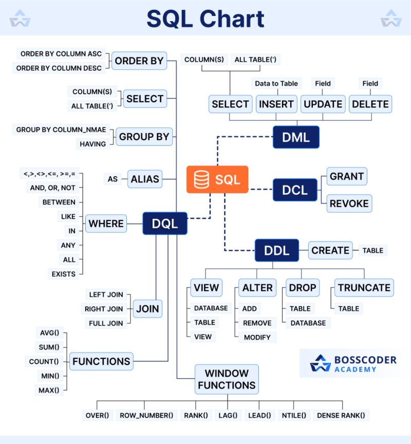 💻Основы SELECT и фильтрации — первые шаги в SQL (2/14) | Сетка — социальная сеть от hh.ru