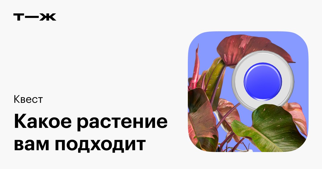 Вы: отвечаете на несколько простых вопросов.
Мы: подбираем растение, которое будет чувствовать себя хорошо именно в ваших условиях и не доставит особых хлопот.
🌸 https://l.tbank | Сетка — социальная сеть от hh.ru