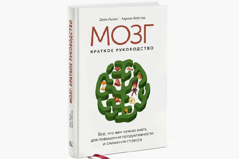 Топ-10 книг для прокачки социального интеллекта
1. Дэниел Гоулман. «Социальный интеллект. Новая наука о человеческих отношениях»
Это фундаментальная работа, которая задала моду на СИ | Сетка — социальная сеть от hh.ru
