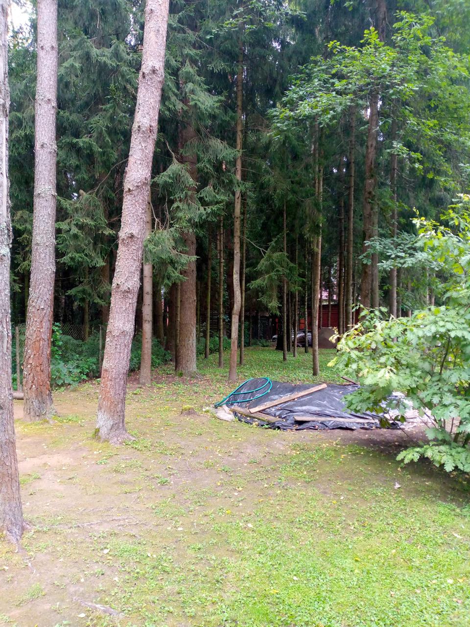 📍 Кубинка. Когда GNSS молчит — говорит тахеометр.
Участок «без координат границ» — проекты и сделки на паузе. Лес, перекрытое небо, помехи: RTK пляшет.
Достали классику: тахеометр + отражатели | Сетка — социальная сеть от hh.ru