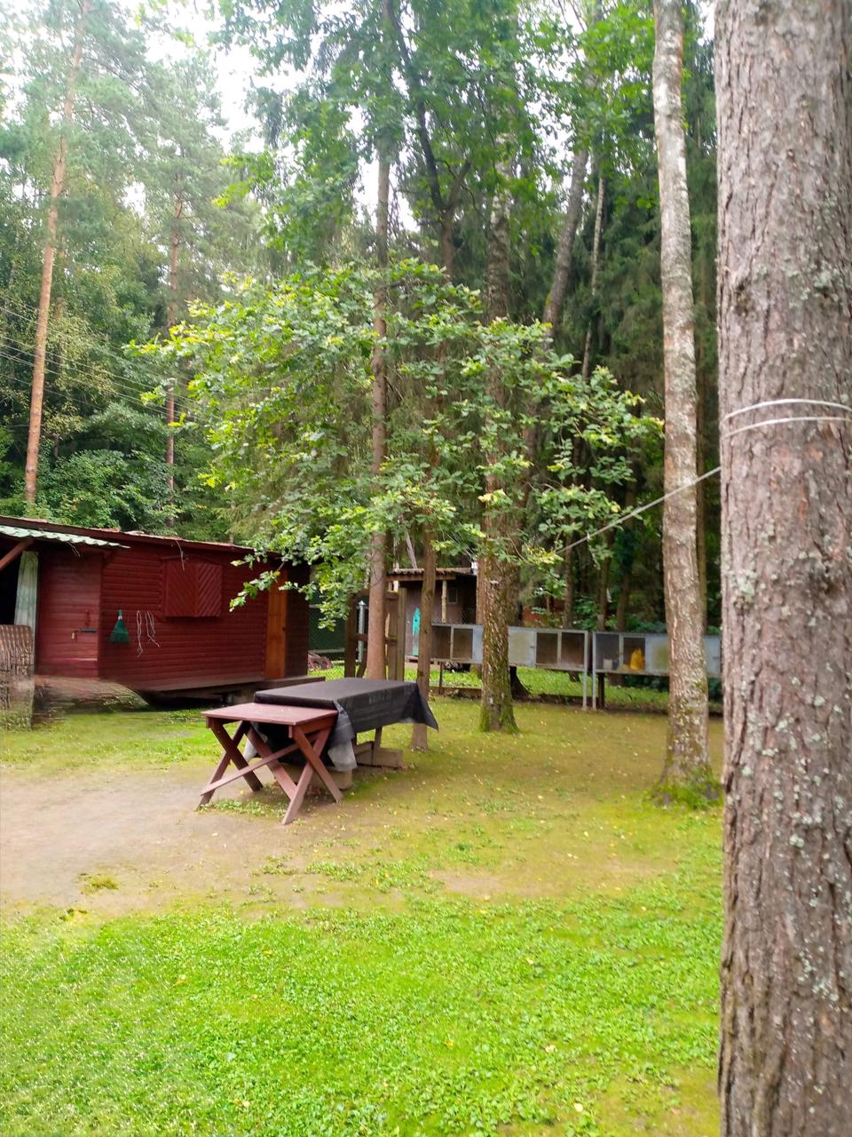 📍 Кубинка. Когда GNSS молчит — говорит тахеометр.
Участок «без координат границ» — проекты и сделки на паузе. Лес, перекрытое небо, помехи: RTK пляшет.
Достали классику: тахеометр + отражатели | Сетка — социальная сеть от hh.ru