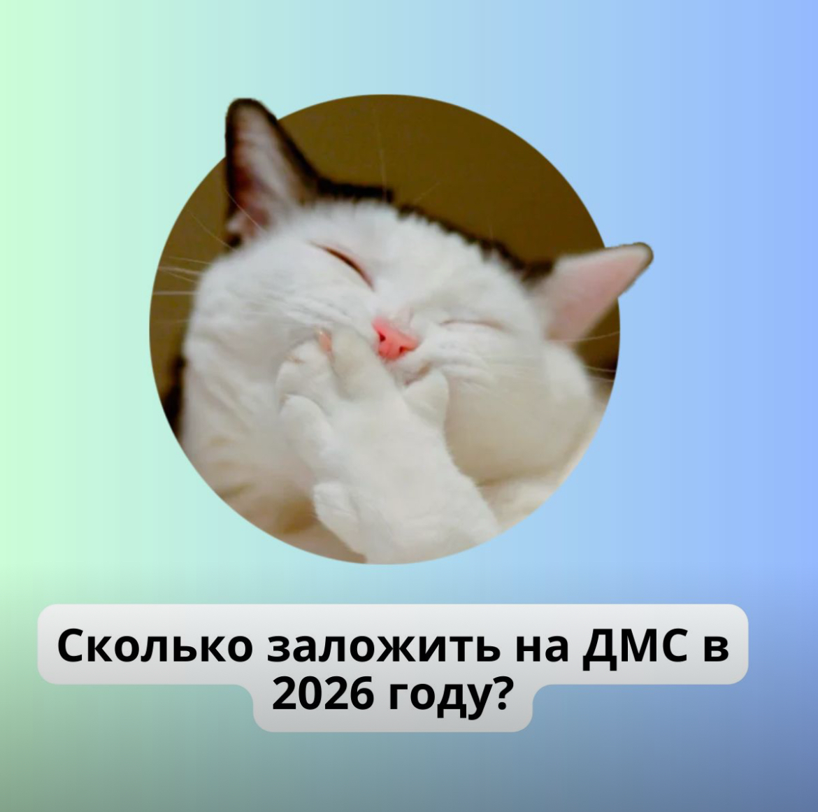 Какое повышение бюджета на ДМС заложить в 2026 году? | Сетка — социальная сеть от hh.ru