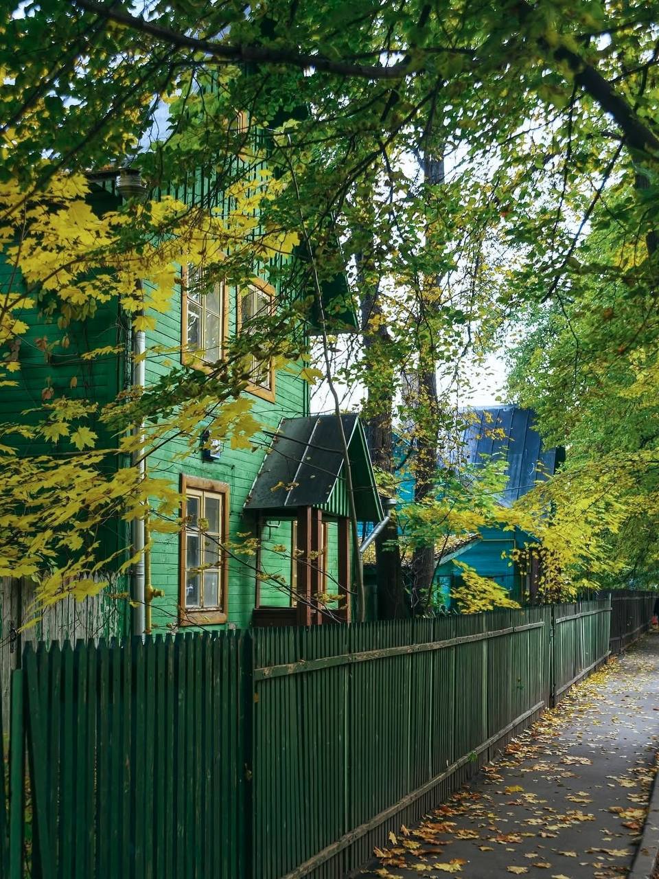 🌳Уголок дачной жизни в пределах МКАДа
Район Сокол — это настоящий «поселок художников», в котором улицы носят имена Левитана, Шишкина, Сурикова и других мастеров изобразительного искусства | Сетка — социальная сеть от hh.ru