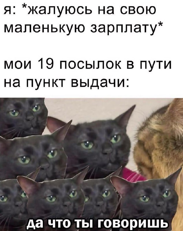 У меня вчера было первое серьёзное собеседование. Учитывая, что резюме я отправила в понедельник, это уже успех, я считаю | Сетка — социальная сеть от hh.ru