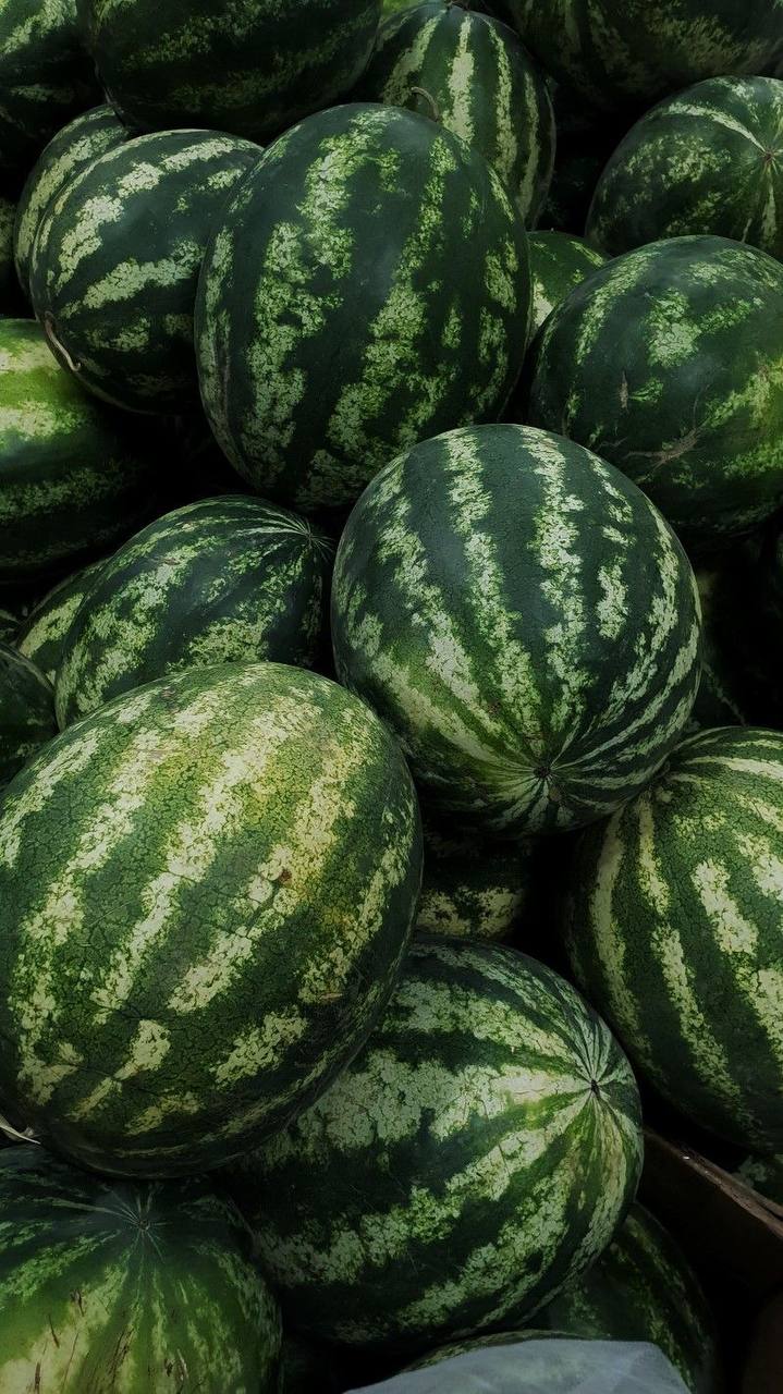 🍉Фестиваль «Арбузник» на Городской Ферме ВДНХ
23-24 августа В программе:
🟣Мастер-классы
🟣Арбузная викторина
🟣Чеканка монет
🟣Активные игры
🟣Дегустация эко-продукции
🟣Выступление детского духового оркес... | Сетка — социальная сеть от hh.ru
