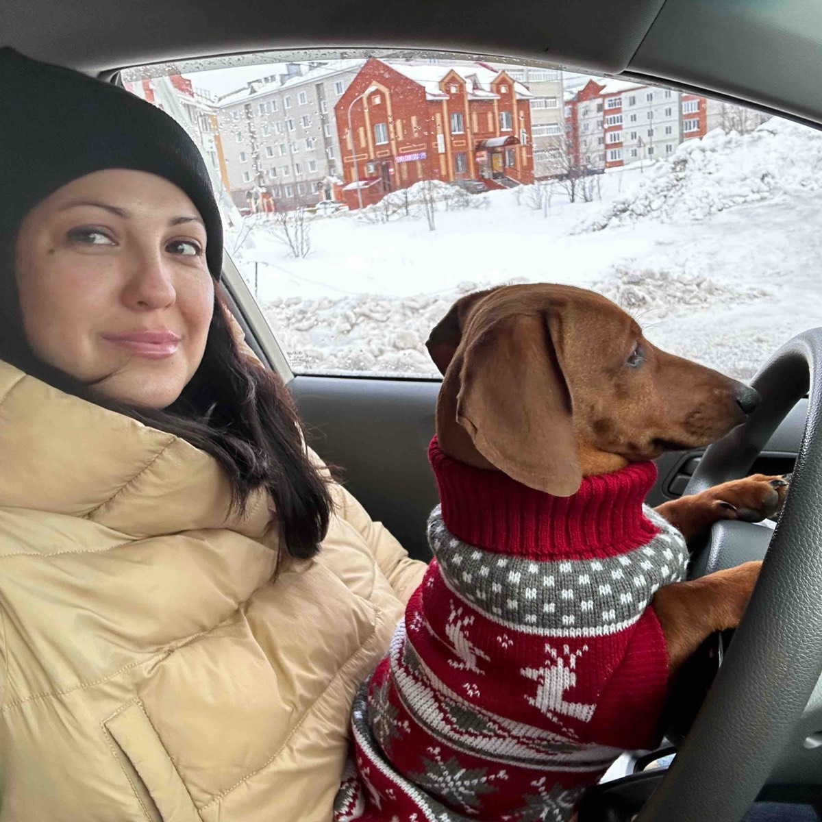 Network member avatar