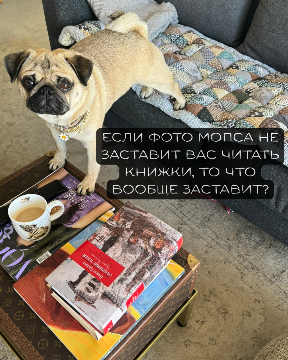 Контент всё ещё король? 👑 | Сетка — социальная сеть от hh.ru