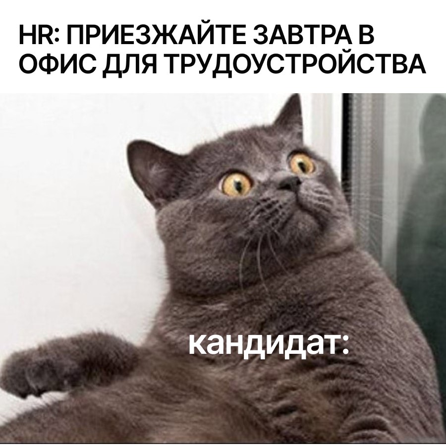 💈Привлекательный HR-бренд с приёмом на работу через КЭДО
Можно не бояться, что к вам не доедут на официальное трудоустройство особенно зуммеры | Сетка — социальная сеть от hh.ru