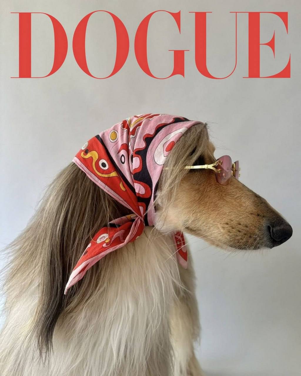 Редакция Vogue выбрала лучшую собаку-модель
Похоже на шутку, но тем не менее: в этом году журнал запустил первый конкурс собак-моделей Dogue-2025 | Сетка — социальная сеть от hh.ru
