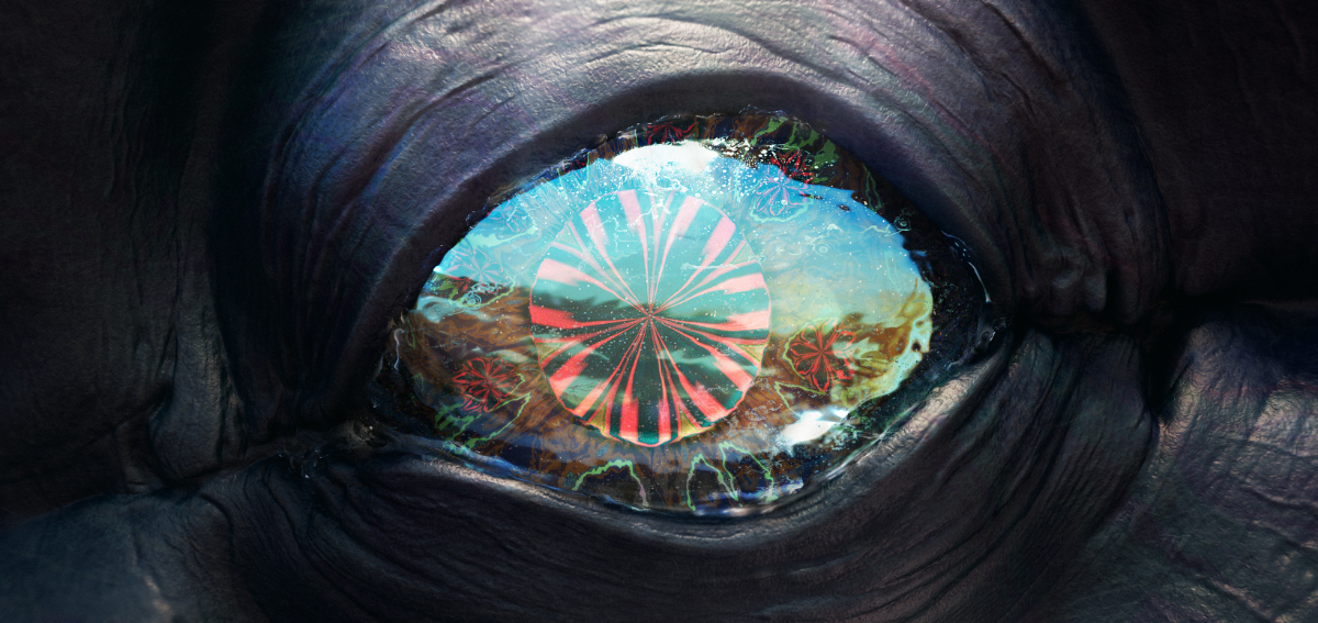 Stellar Oculi: Procedural Alien Eye Anatomy | Сетка — социальная сеть от hh.ru