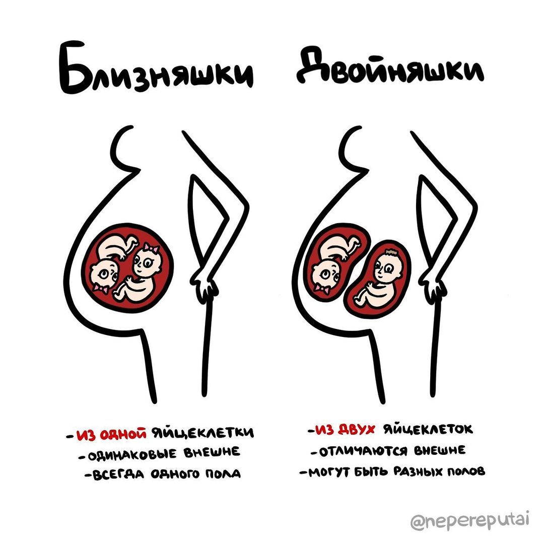 ⚠️ Не перепутай! ( - канал с забавными подсказками о вещах и понятиях, которые люди часто путают | Сетка — социальная сеть от hh.ru