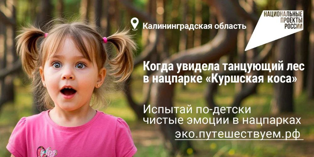 🌳Агентство «Национальные приоритеты» и Минприроды России запустили яркую кампанию, которая приглашает всех на экотуризм по заповедным уголкам нашей страны | Сетка — социальная сеть от hh.ru