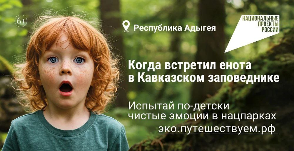 🌳Агентство «Национальные приоритеты» и Минприроды России запустили яркую кампанию, которая приглашает всех на экотуризм по заповедным уголкам нашей страны | Сетка — социальная сеть от hh.ru