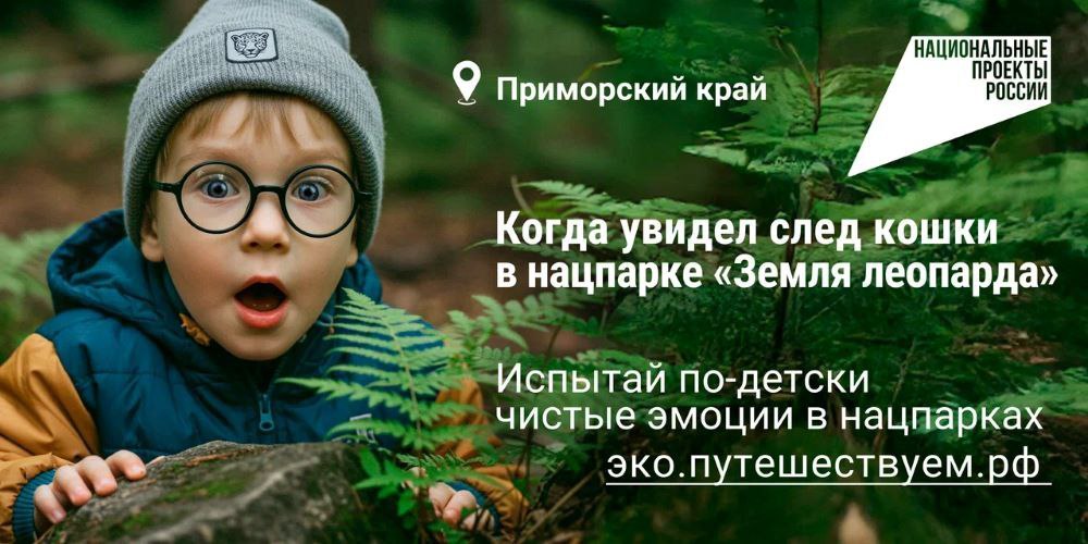 🌳Агентство «Национальные приоритеты» и Минприроды России запустили яркую кампанию, которая приглашает всех на экотуризм по заповедным уголкам нашей страны | Сетка — социальная сеть от hh.ru
