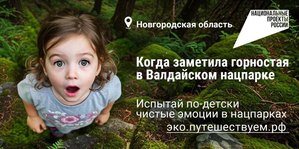 🌳Агентство «Национальные приоритеты» и Минприроды России запустили яркую кампанию, которая приглашает всех на экотуризм по заповедным уголкам нашей страны | Сетка — социальная сеть от hh.ru
