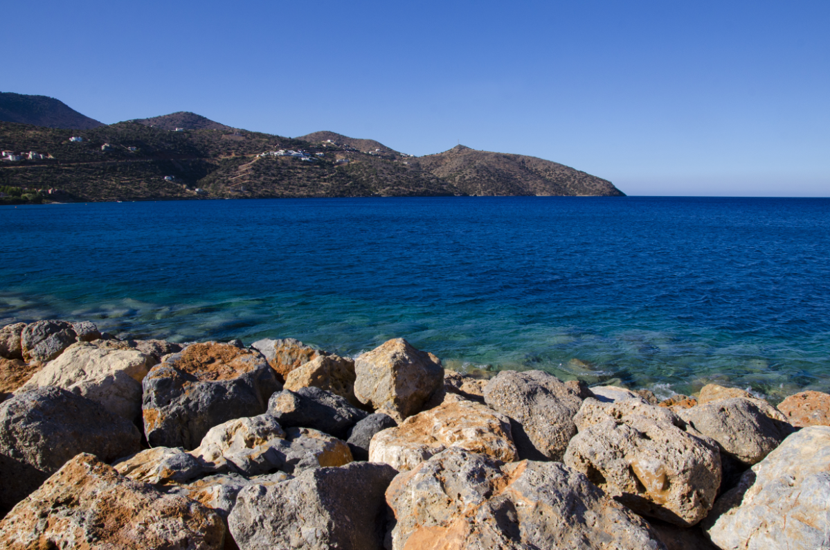 От разработчика до тимлида: мой путь | Сетка — социальная сеть от hh.ru