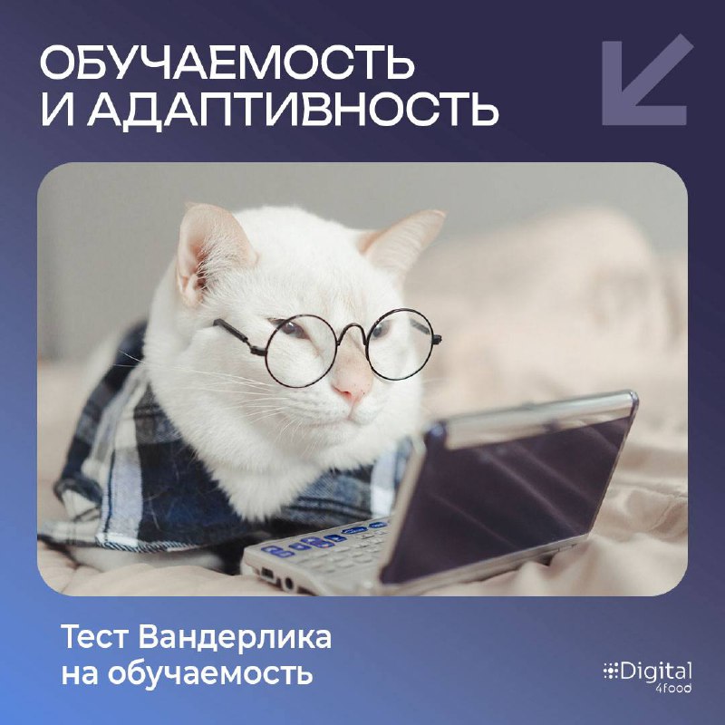 Не успели мы как следует разобраться с hard и soft skills, как появился новый блок ― meta skills.
Что это вообще такое?
Если hard и soft уже привычны, то meta ― это что-то более глубинное | Сетка — социальная сеть от hh.ru