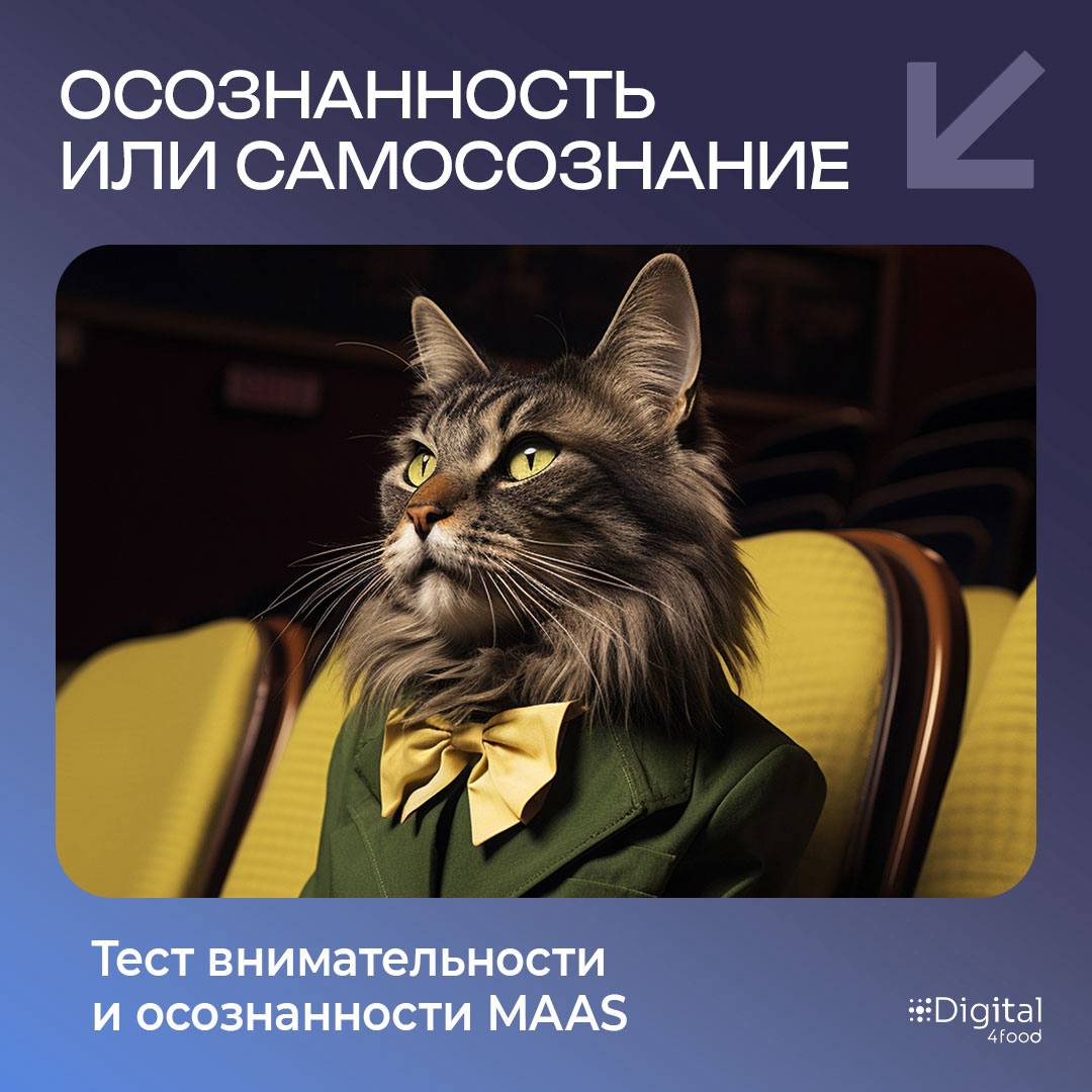 Не успели мы как следует разобраться с hard и soft skills, как появился новый блок ― meta skills.
Что это вообще такое?
Если hard и soft уже привычны, то meta ― это что-то более глубинное | Сетка — социальная сеть от hh.ru