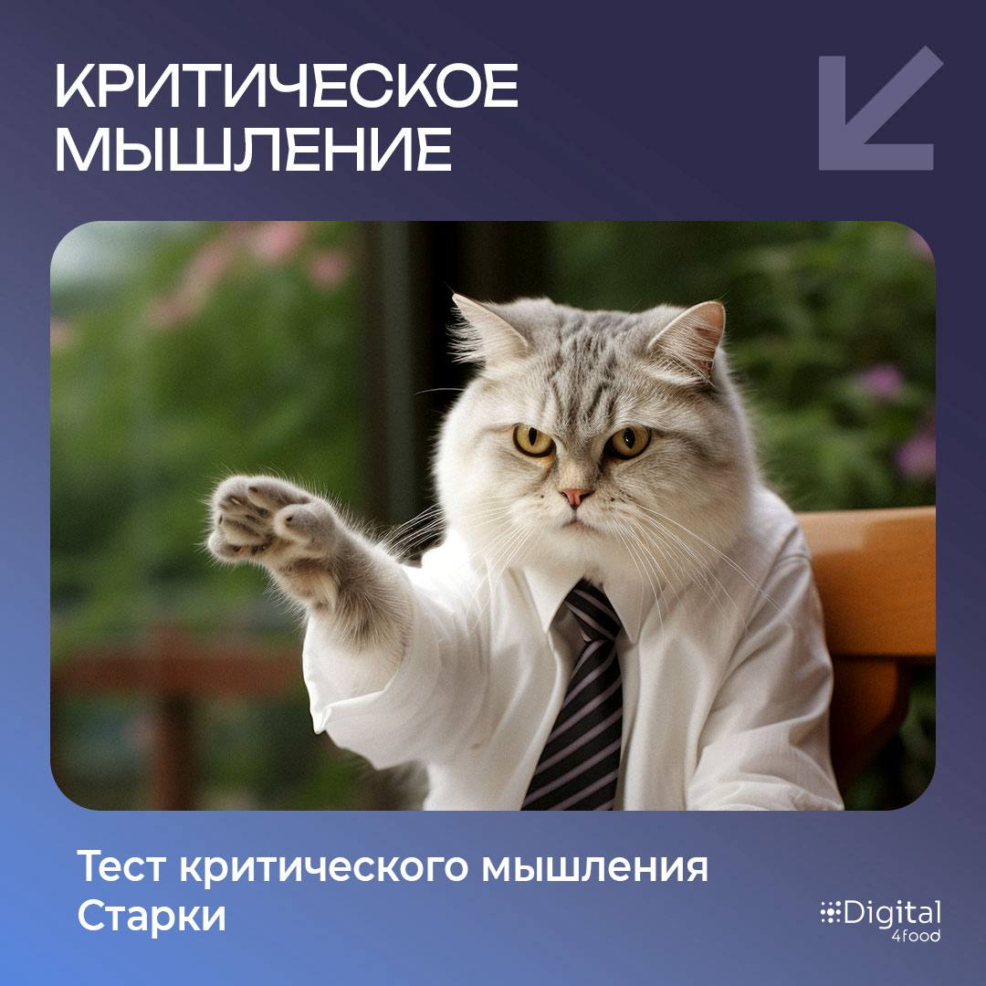Не успели мы как следует разобраться с hard и soft skills, как появился новый блок ― meta skills.
Что это вообще такое?
Если hard и soft уже привычны, то meta ― это что-то более глубинное | Сетка — социальная сеть от hh.ru