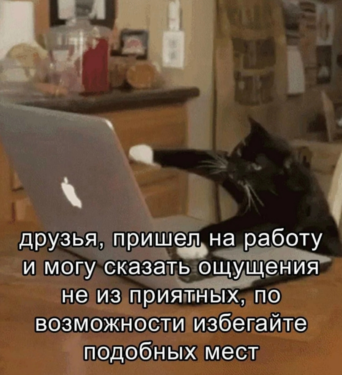 Сетка — социальная сеть от hh.ru