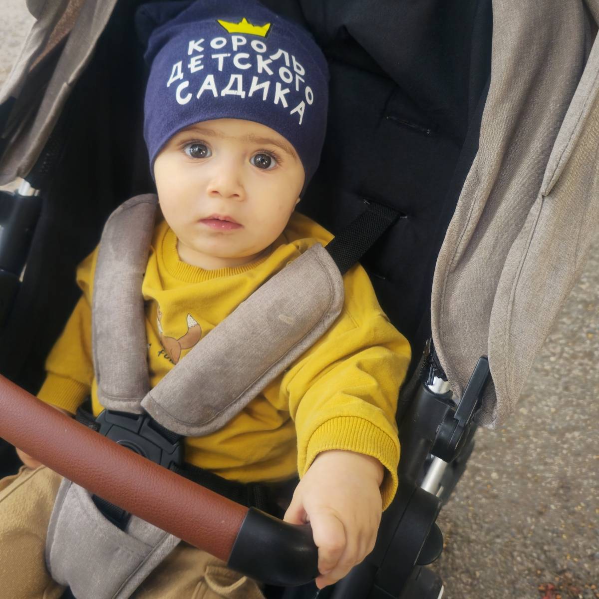 Махмад Садиев | Сетка — социальная сеть от hh.ru