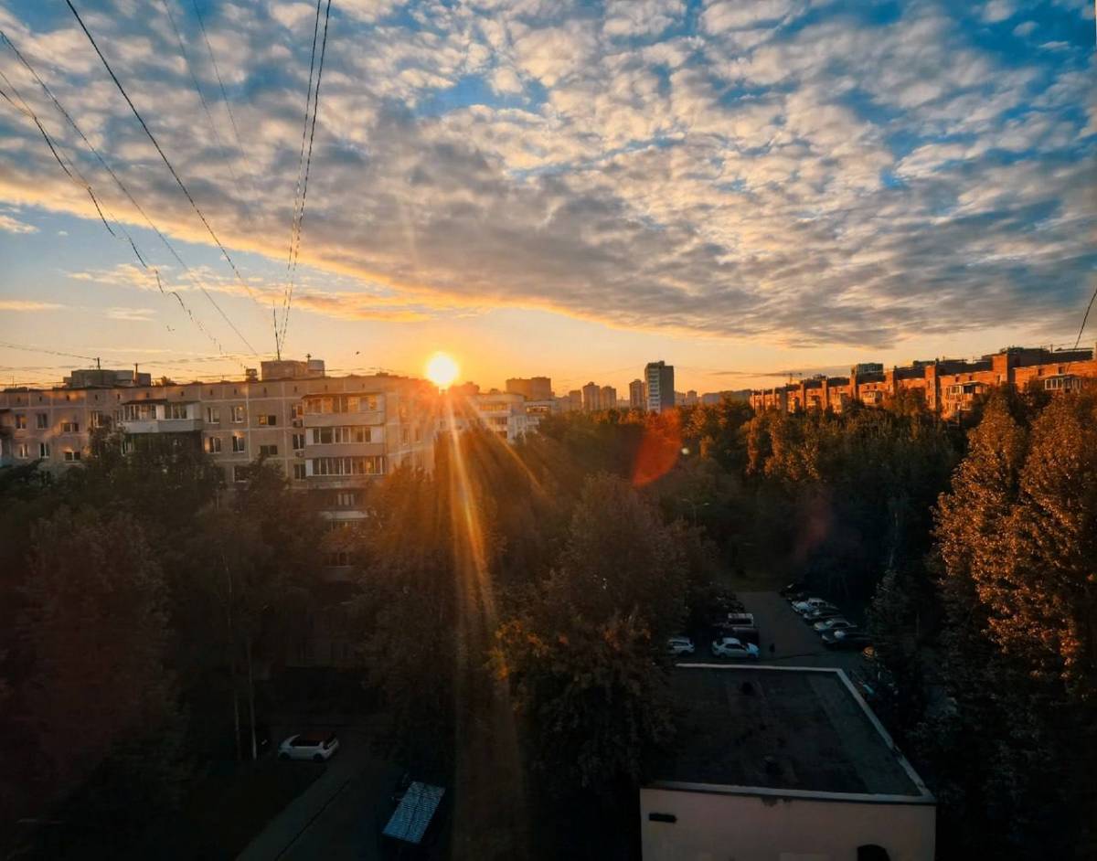 Джерен Умытджанова | Сетка — социальная сеть от hh.ru