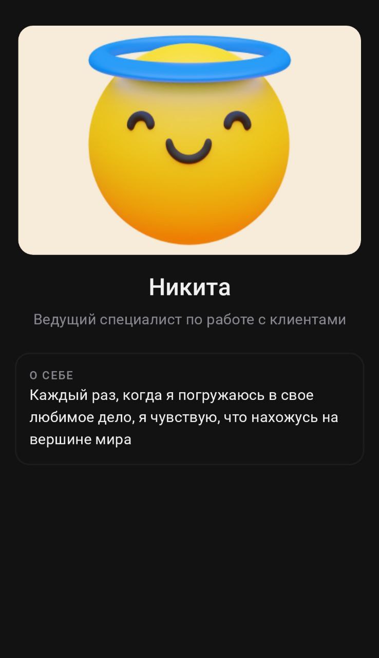 Если в чате приложения Альфа банка💳 посмотреть информацию о помошнике, то становится не по себе.. | Сетка — социальная сеть от hh.ru
