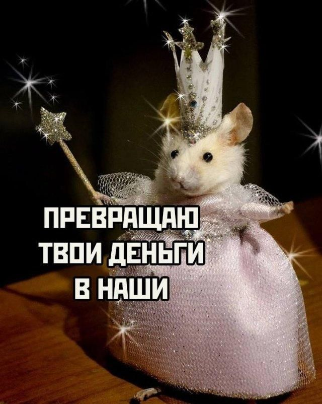 Купи меня, если сможешь: часть 2😏 | Сетка — социальная сеть от hh.ru