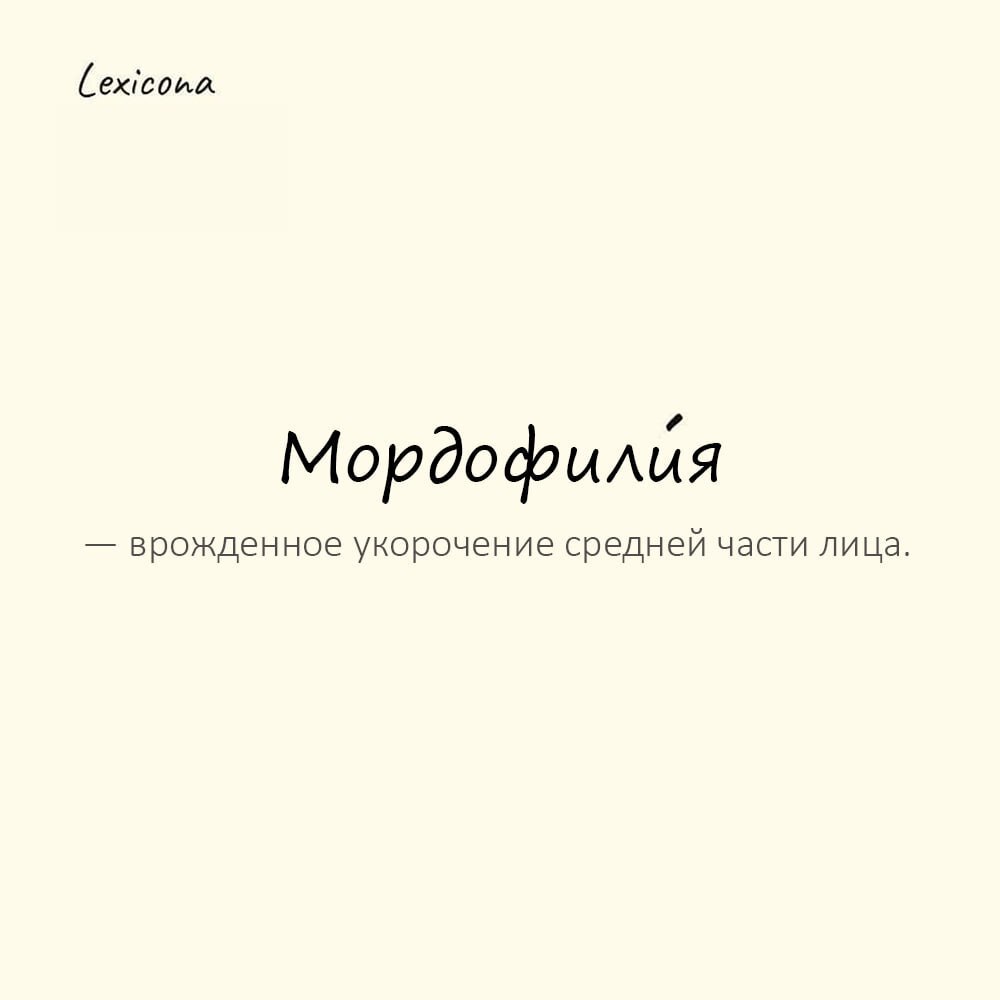 Мордофилия — врожденное укорочение средней части лица 😷
Пример употребления:
Диагноз 'мордофилия' звучит гораздо страшнее, чем выглядит пациент | Сетка — социальная сеть от hh.ru