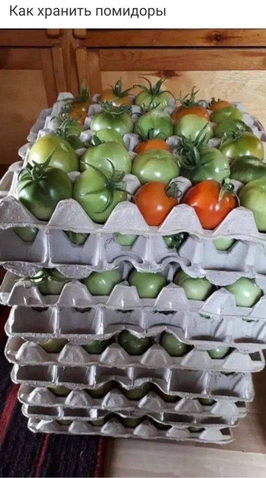 Дачники и сельские жители, берите на заметку👍
Ну а мы - асфальтные жители - покупаем в магазине поштучно😂.
Проблем с хранением нет | Сетка — социальная сеть от hh.ru