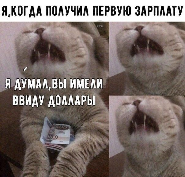 За деньги: да нет наверное 💵 | Сетка — социальная сеть от hh.ru