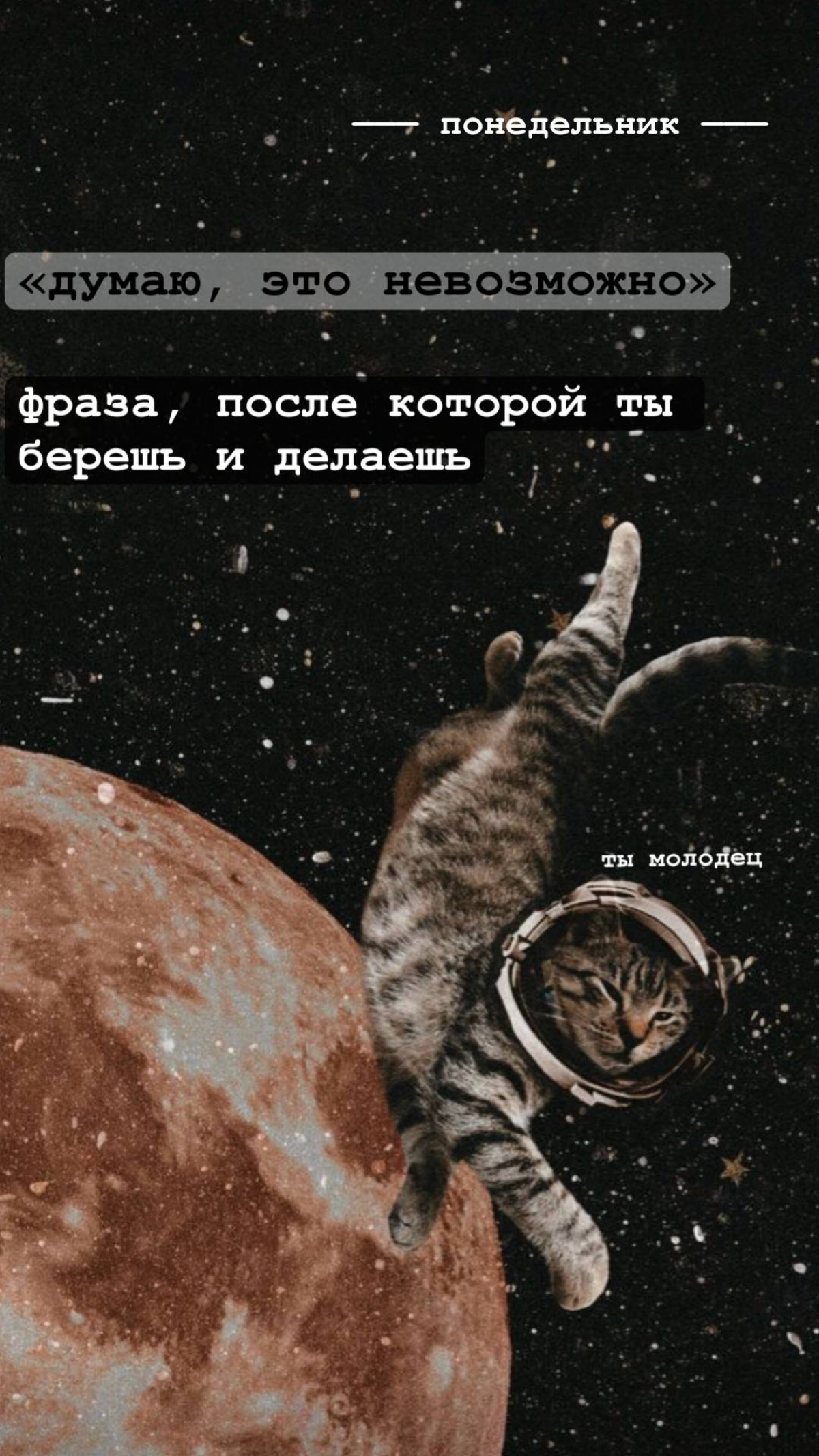 -мысли дня- | Сетка — социальная сеть от hh.ru