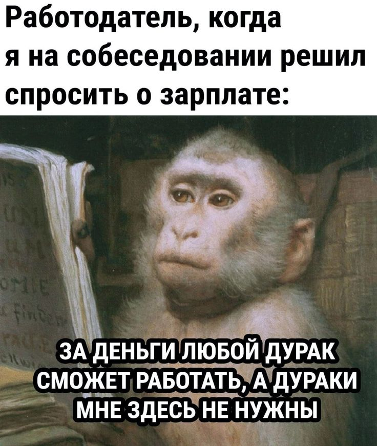 Собеседование, которое ты заслужил. Или нет. | Сетка — социальная сеть от hh.ru