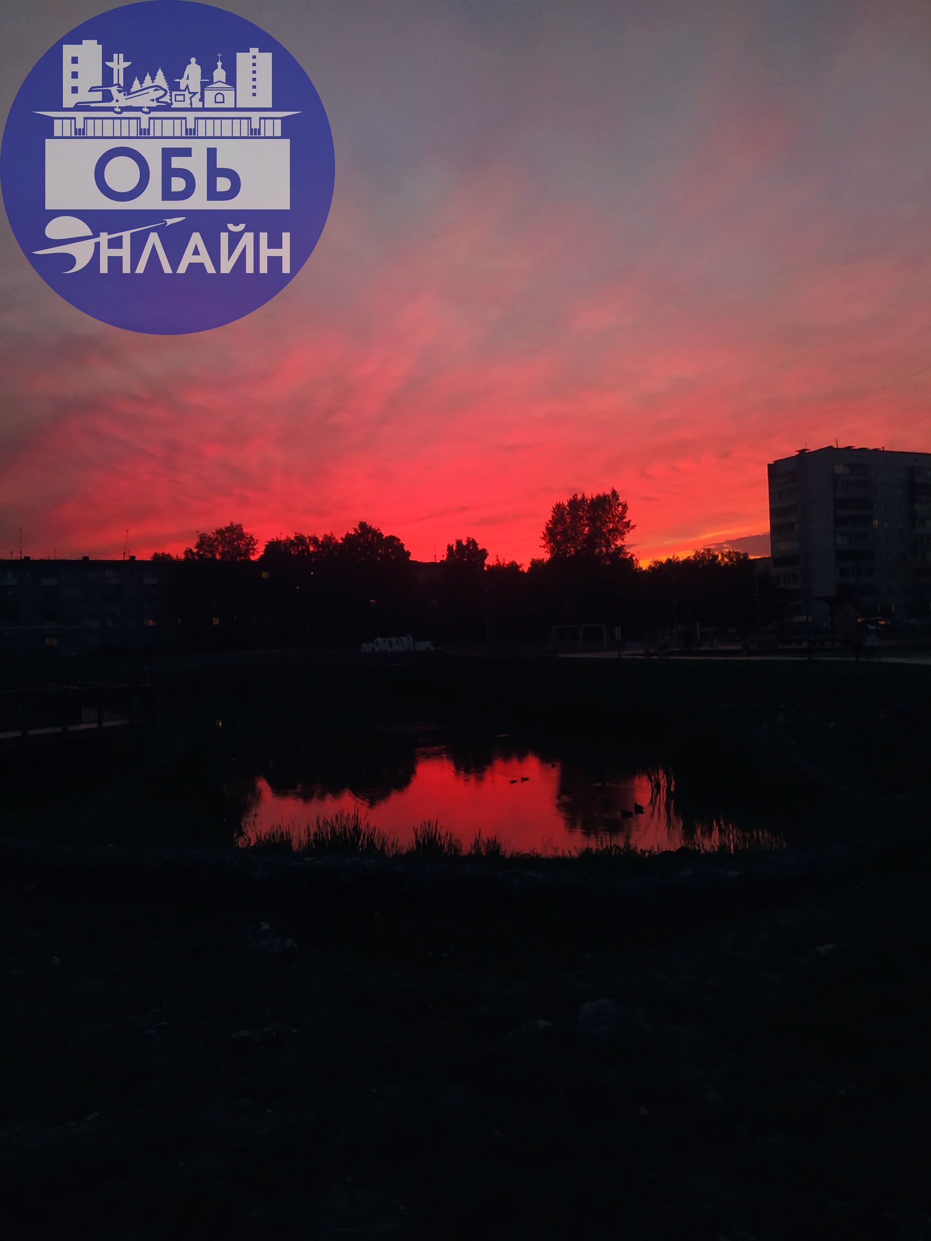 ↗ Вчера Эко Парк Обской, встречал такой красивый закат!!!
vk.com
Подробнее на https://vk.com/ob.gorod
#городобь #городобьонлайн #толмачево | Сетка — социальная сеть от hh.ru