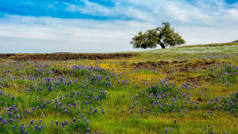 California County
https://procreator.top/2025/08/23/this-scenic-california-county-is-an-underrated-gem-for-nature-lovers/ | Сетка — социальная сеть от hh.ru