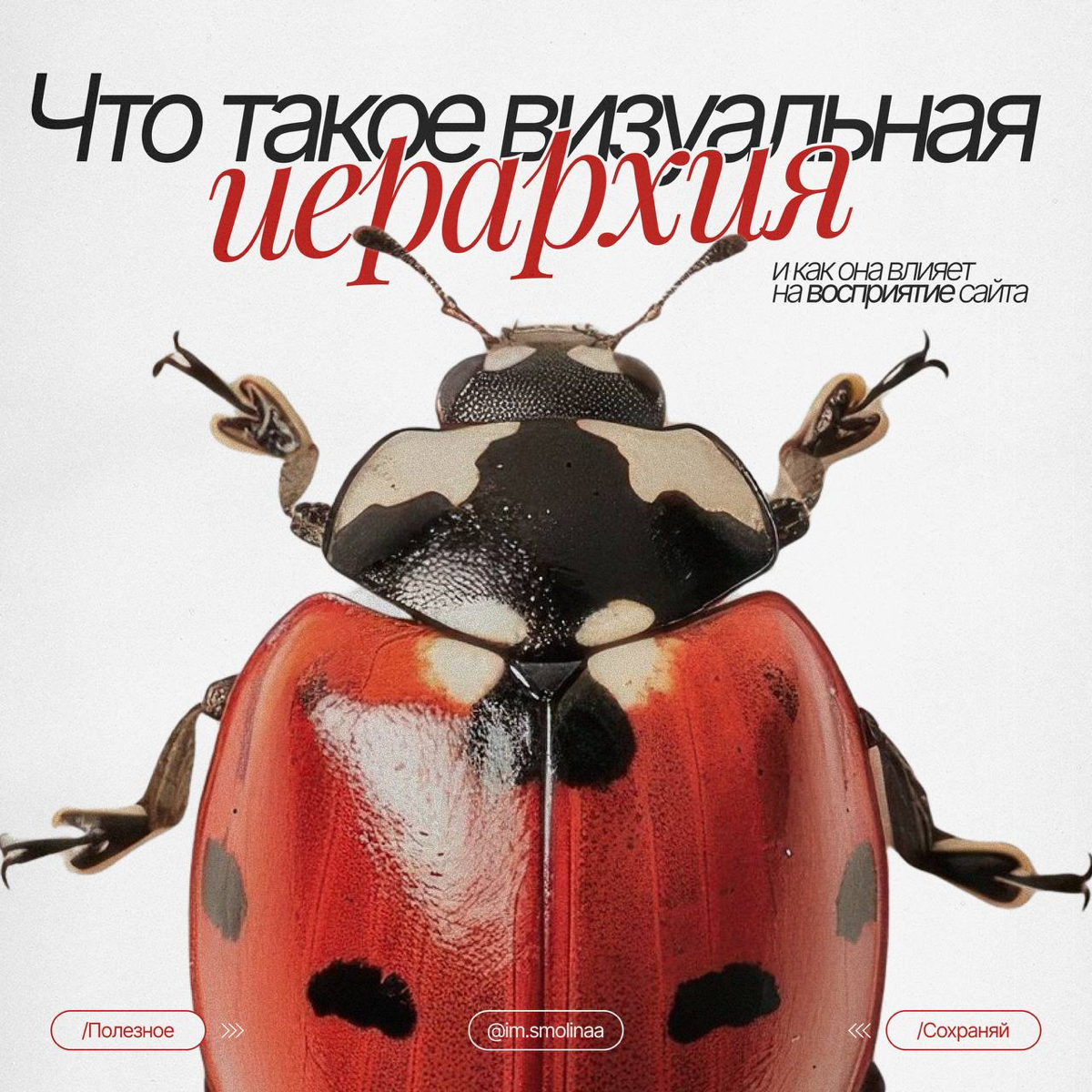 Что такое визуальная иерархия и как она влияет на восприятие | Сетка — социальная сеть от hh.ru