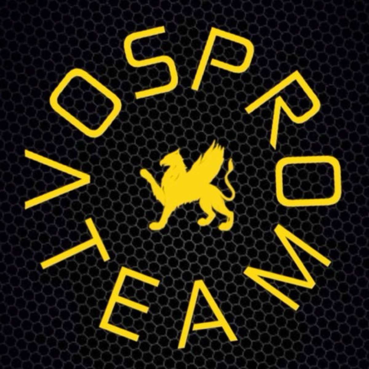 Vospro Team