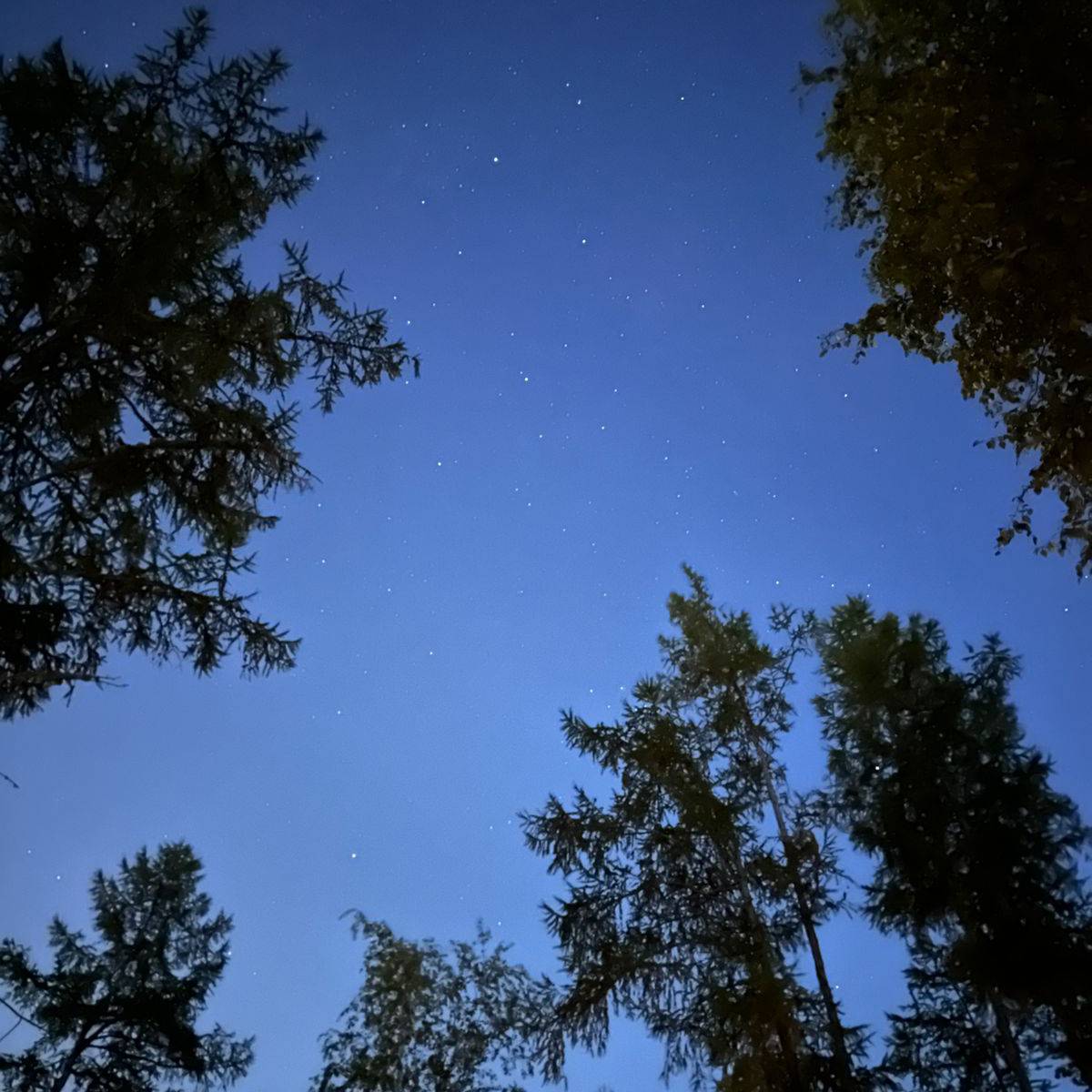 Пётр Захаров | Сетка — социальная сеть от hh.ru