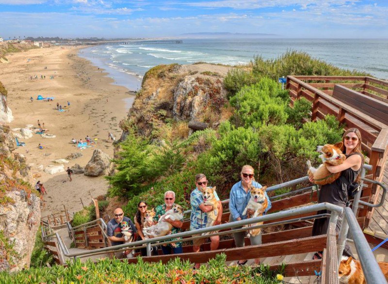 Hundreds Of Corgis To Return To Pismo Beach For Corgi Nation Vacation
https://procreator.top/2025/08/24/hundreds-of-corgis-to-return-to-pismo-beach-for-corgi-nation-vacation/ | Сетка — социальная сеть от hh.ru