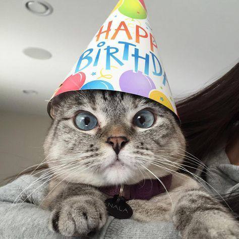 🎉 Друзья, у нас сегодня особенный день - день рождения у нашего подписчика @QO0os Сергея!
Сергей, от всей души поздравляю тебя с этим праздником!
Пусть новый год твоей жизни принесёт ещё больше радост... | Сетка — социальная сеть от hh.ru